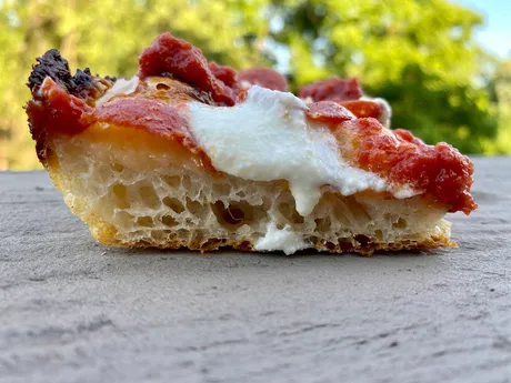 Detroit red top, crumb profile, baked by Bill